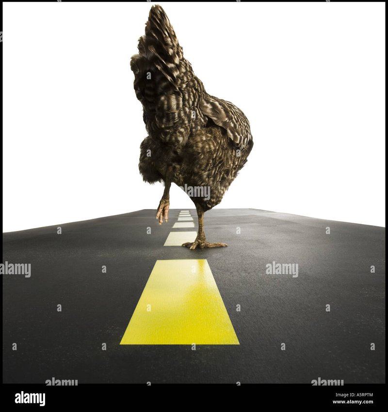 Descubre el Juego de Azar Clásico de la Ruta del Pollo en España - overview Descubre el Juego de Azar Clásico de la Ruta del Pollo en España - overview